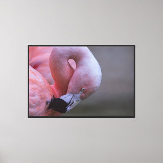Pink Flamingo Portrait Stretched Canvas Print