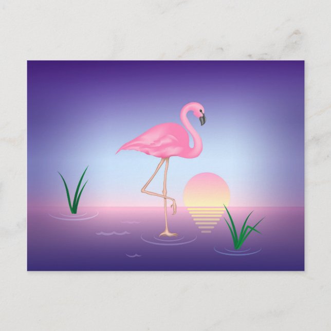 Pink Flamingo Postcard (Front)