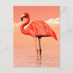 Pink flamingo postcard