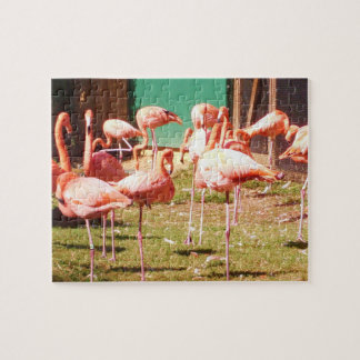 Pink Flamingo Puzzle