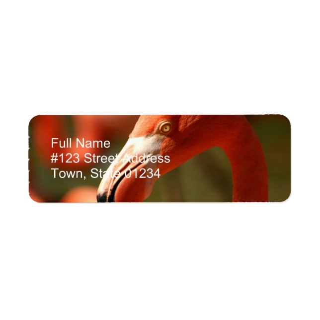 Pink Flamingo Return Address Label (Front)