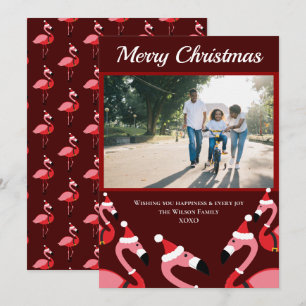 Pink Flamingo Santa Photo Christmas