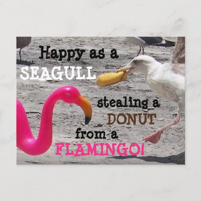Pink Flamingo Seagull Doughnut Beach Vacation Humo Postcard (Front)