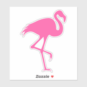 Pink Flamingo Silhouette Bird Animal Wildlife 