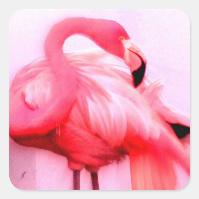 Pink Flamingo Square Sticker (Front)