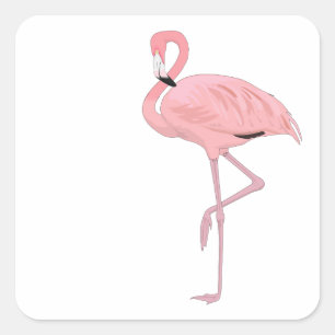 Pink Flamingo Standing One Leg Square Sticker