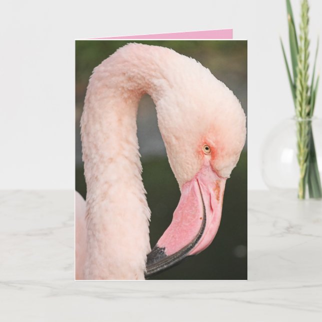 PINK FLAMINGO STAY FABULOUS BIRTHDAY CARD (Front)