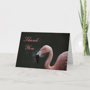 Pink Flamingo Thank You Card