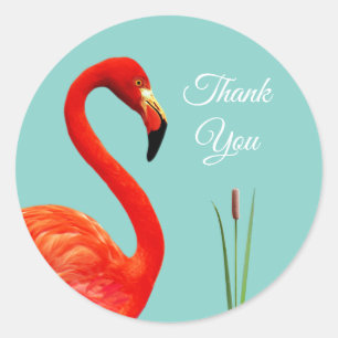Pink Flamingo Thank You Classic Round Sticker