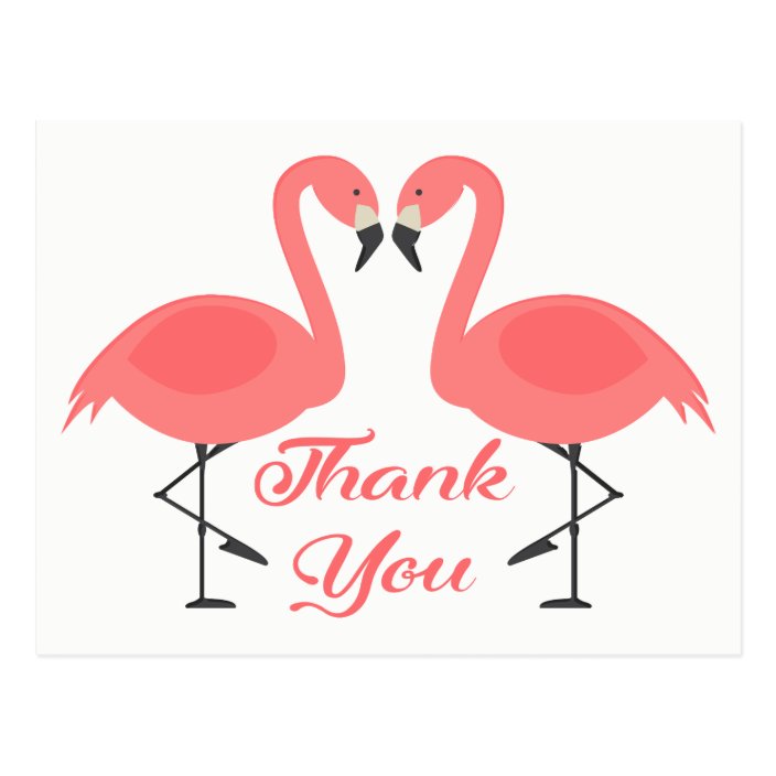 Pink Flamingo Thank You Tropical Wedding Love Postcard | Zazzle.co.uk