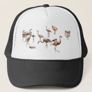 Pink Flamingo Trucker Hat