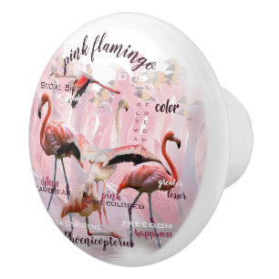 Pink Flamingo Typography   Customised Ceramic Knob