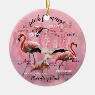 Pink Flamingo Typography   Customised Ceramic Tree Decoration