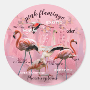 Pink Flamingo Typography Customised Classic Round Sticker