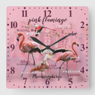 Pink Flamingo Typography   Customised Square Wall Clock
