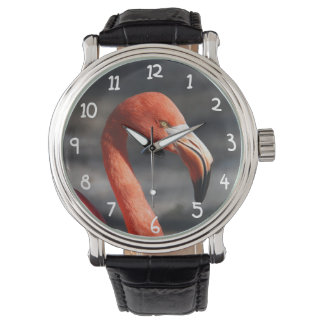 Pink Flamingo Watch