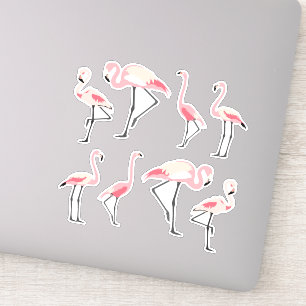 Pink Flamingos