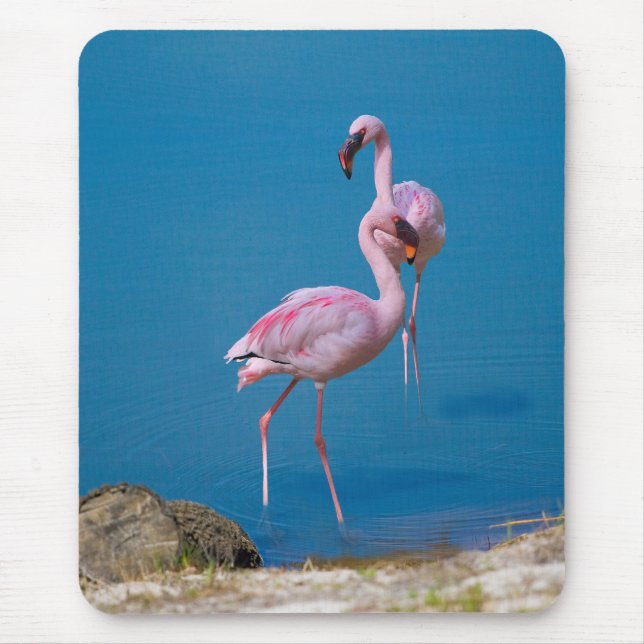 Pink Flamingos at the Lake Mouse Mat (Front)