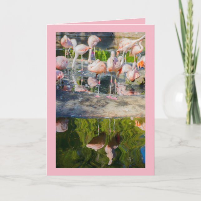 Pink Flamingos Blank Greeting Card (Front)