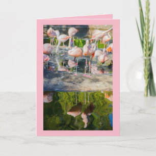 Pink Flamingos Blank Greeting Card