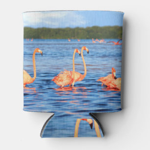 Pink flamingos: Celestun Park, Mexico. Can Cooler