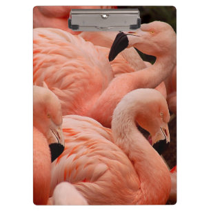 Pink flamingos clipboard