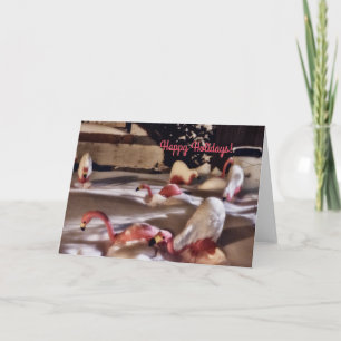 Pink Flamingos Holiday Card