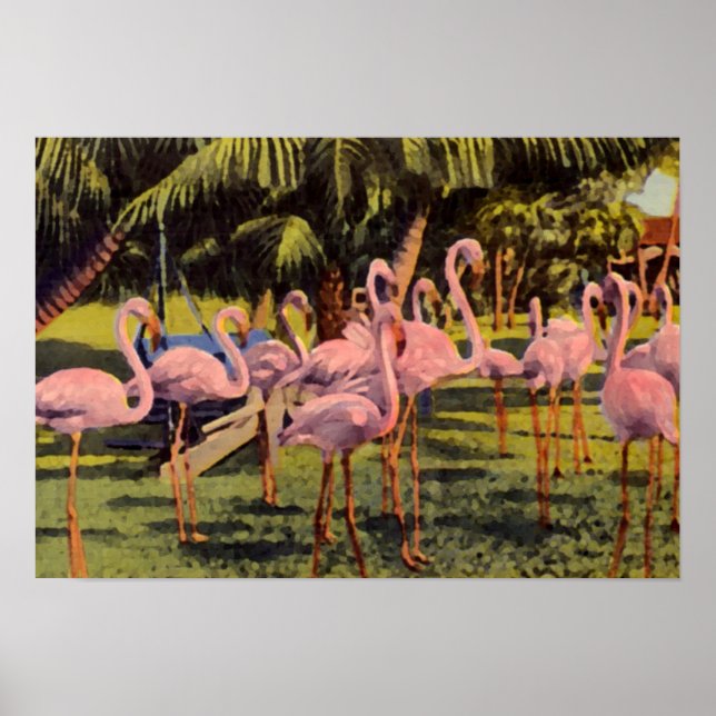 Pink Flamingos in Florida Poster (Front)