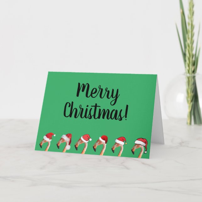 Pink flamingos in red Santa hats christmas Holiday Card (Front)