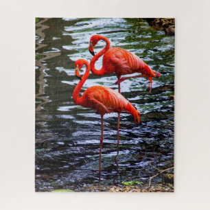 Pink Flamingos in Water Jigsaw Puzzle
