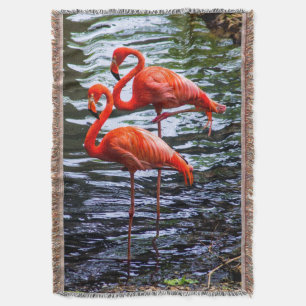 Pink Flamingos in Water Throw Blanket