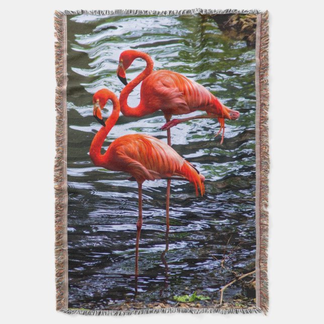 Pink Flamingos in Water Throw Blanket (Front Vertical)