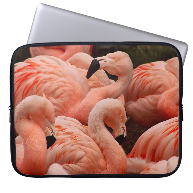 Pink flamingos laptop sleeve (Front)