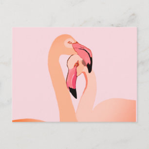 Pink Flamingos Love Postcard