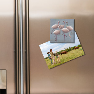 Pink Flamingos Magnet Serengeti Wildlife Safari