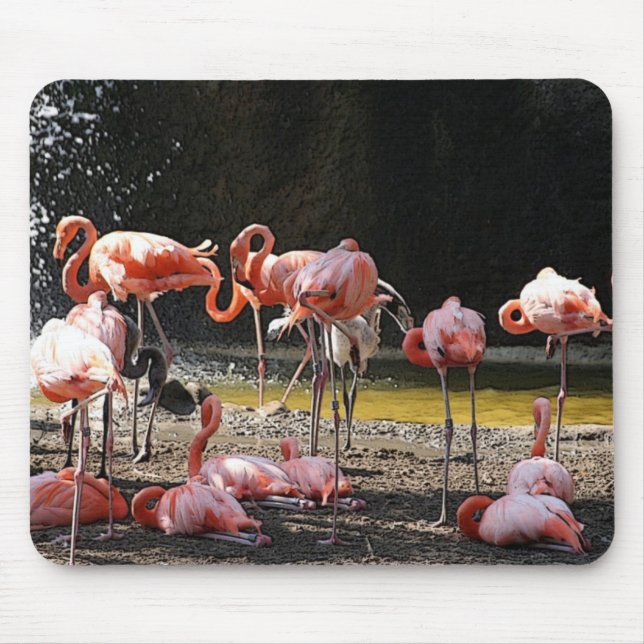 Pink Flamingos Mouse Mat (Front)