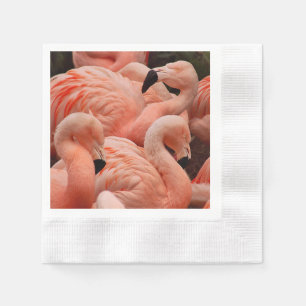 Pink flamingos napkin