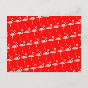 Pink Flamingos on Parade Postcard