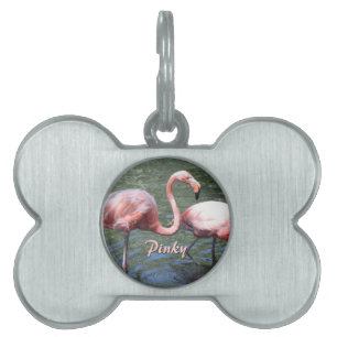 Pink Flamingos Pet Tag
