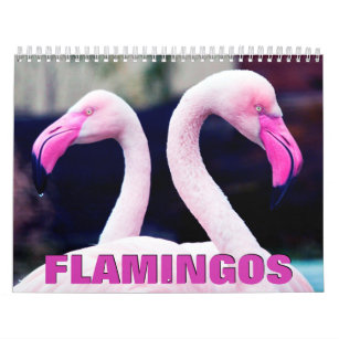 Pink Flamingos Wall Calendar