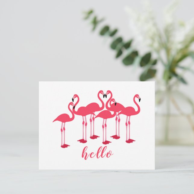 Pink Flock Of Flamingos "Hello" Postcard (Standing Front)