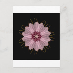 Pink Floral Abstract Postcard