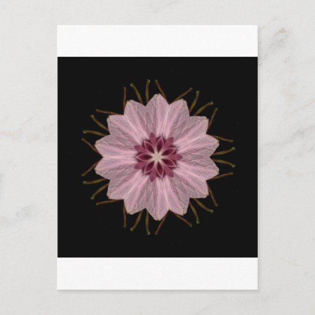 Pink Floral Abstract Postcard (Front)