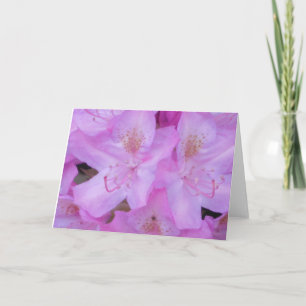 Pink Floral Any Occasion Greeting Cards