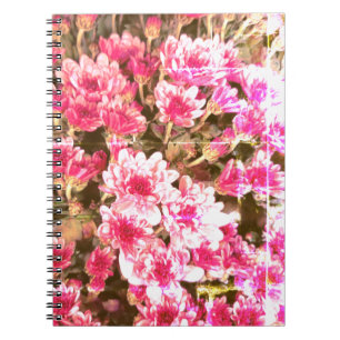 Pink Floral Bloom Pattern – Soft Botanical Design Notebook