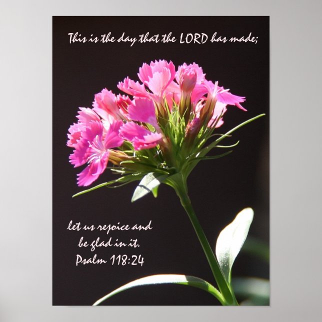 Pink Floral Bloom w/ Verse from Psalm 118:24 Poster (Front)