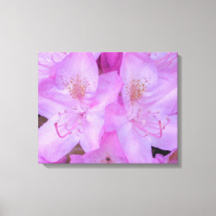 Pink Floral Canvas Art