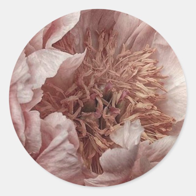 Pink floral classic round sticker (Front)
