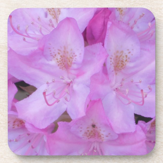 Pink Floral Coaster Set (Front)