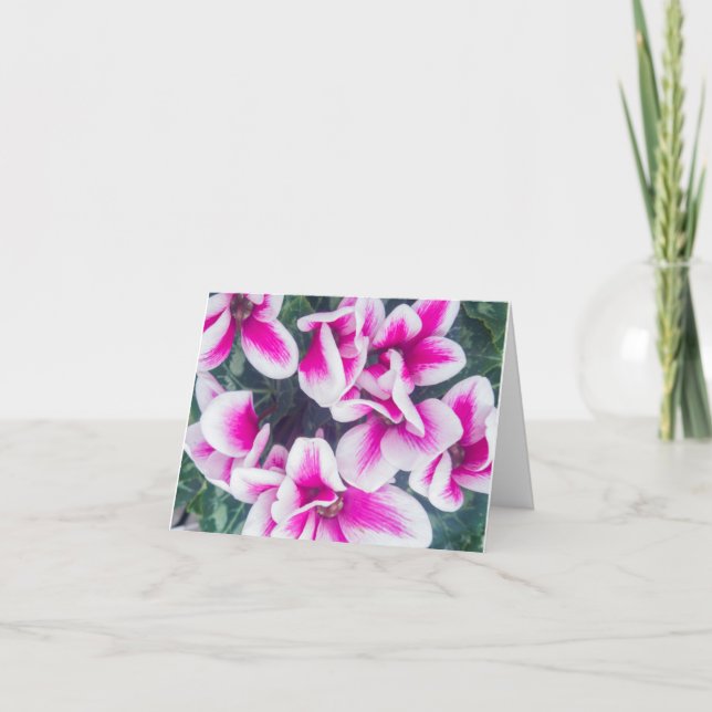 Pink Floral Cyclamen Photography Notecard (Front)